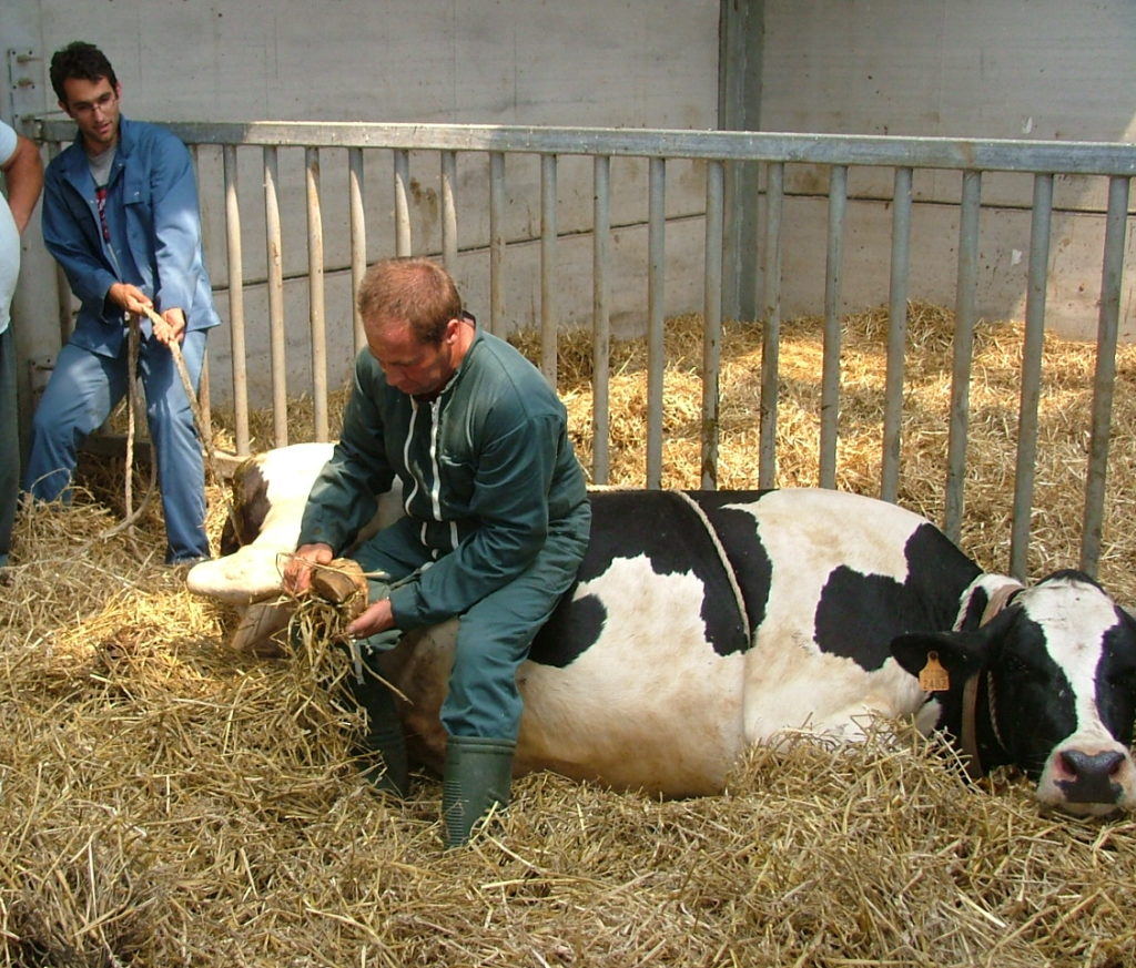 apprentissage dans les secteurs verts. MWSV