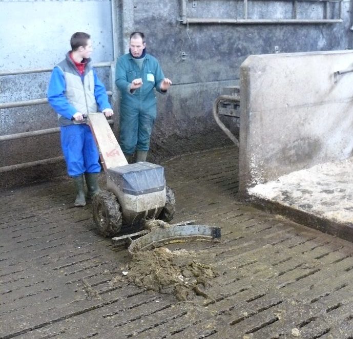 Apprentis dans une étable, avec un tuteur